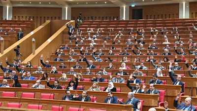 مجلس النواب    