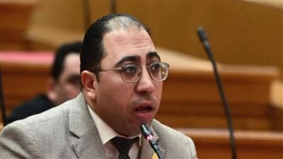 النائب بسام الصواف عضو مجلس النواب عن الحزب المصري الديمقراط    