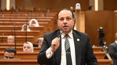 النائب وليد خطاب، عضو مجلس النواب    