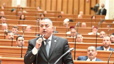 النائب علي عبد الونيس على    