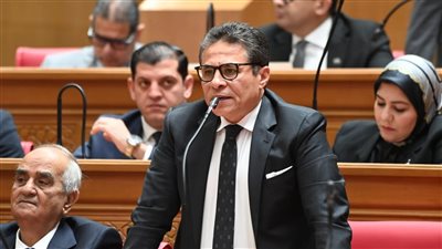 النائب طاهر الخولي، عضو مجلس النواب    