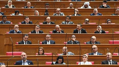 الجلسة العامة لمجلس النواب    