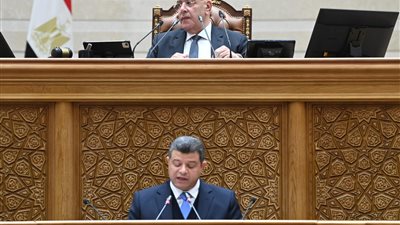 النائب محمد سليمان    