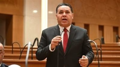 النائب عماد الغنيمي، عضو مجلس النواب المصري    