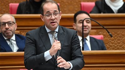 أحمد كجوك وزير المالية    