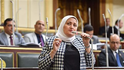 سناء السعيد، عضو مجلس النواب    