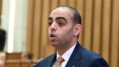 النائب حسن عمر حسانين    