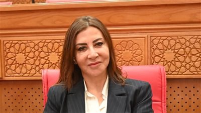 النائبة حنان صبري عن حزب الإصلاح والتنمية    