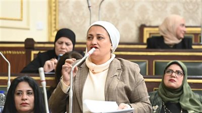 النائبة سناء السعيد، عضو المجلس عن الحزب المصري الديمقراطي    