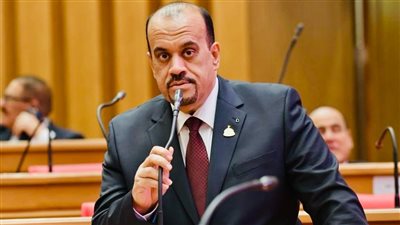 النائب إيهاب إمام، عضو مجلس النواب    