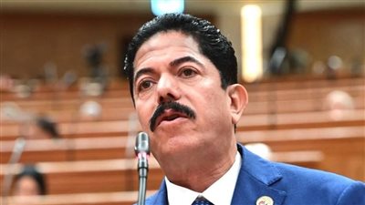  النائب علاء سليمان الحديوي، عضو مجلس النواب    