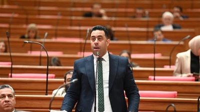 النائب احمد فرغلى     