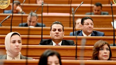  النائب هشام الرحماني، عضو لجنة الشباب والرياضة    