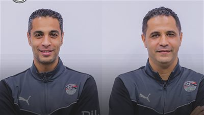 أمين عاشور ومحمود عاشور    