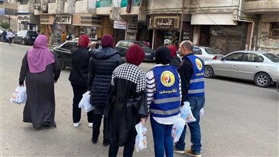 حزب حماة الوطن    