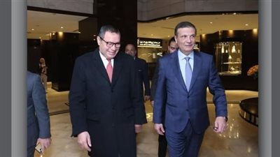 النائب هشام الحصرى    