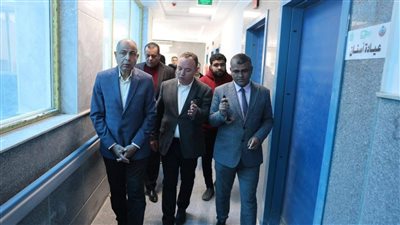 محافظ المنيا