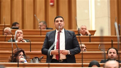 النائب أحمد عبد المجيد    