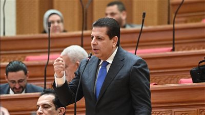 النائب محمود سامى     