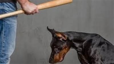 عقوبة التعدى على الحيوانات     