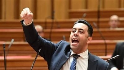 النائب أحمد فرغلى     