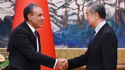 وزير الخارجية المصري ونظيره الصيني 