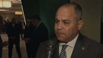 النائب وسام إسماعيل    