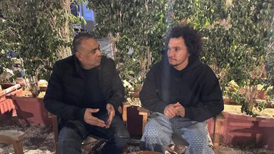 عمرو السيسي    