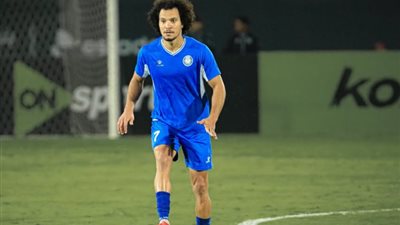 عمرو السيسي    