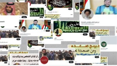 حملات تضليل    