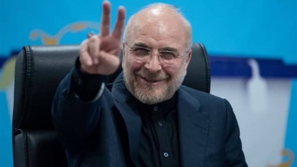 رئيس البرلمان الإيراني     