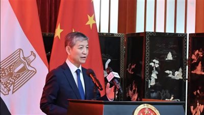 السفير الصيني بالقاهرة
