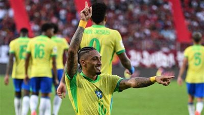 منتخب البرازيل    