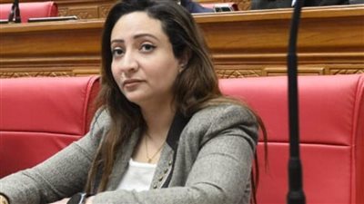 النائبة كريستينا عادل، عضو مجلس النواب    