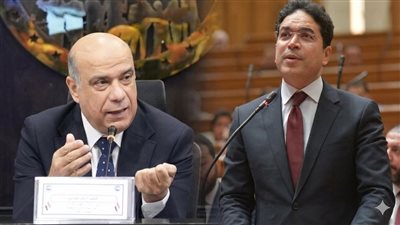 النائبان ضياء الدين داود ونادر الداجن    