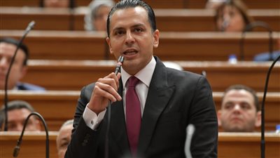 النائب أحمد عبد الجواد     