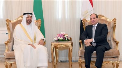 الرئيس السيسي ومحمد بن زايد     
