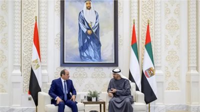 السيسي وبن زايد     