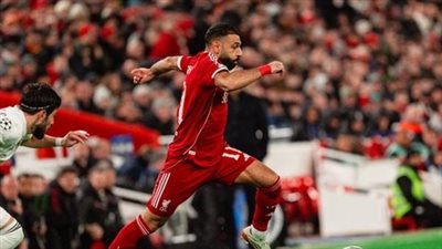 ليفربول.. محمد صلاح يسجل هدف عالمي لـ ليفربول في مرمى جالطة     