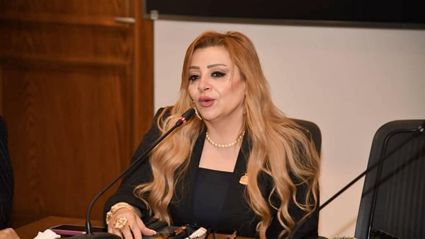 النائبة هبة غالي، عضو لجنة العلاقات الخارجية بمجلس النواب    