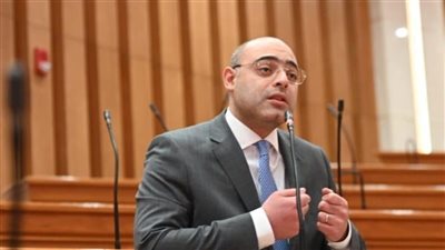 النائب أحمد علاء فايد، عضو مجلس النواب    