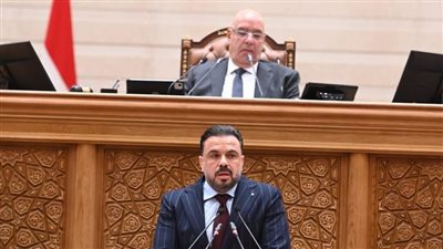 النائب محمد مجاهد     