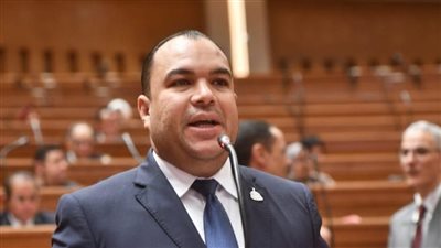 النائب أحمد عصام، رئيس الهيئة البرلمانية لحزب المؤتمر    