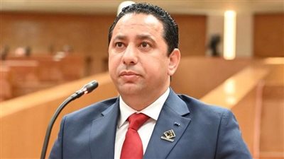 النائب حسام خليل    