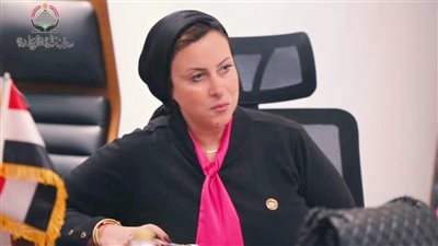 النائبة داليا سعد، عضو مجلس الشيوخ    