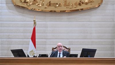 المستشار هشام بدوي     