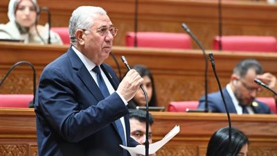 السيد القصير    