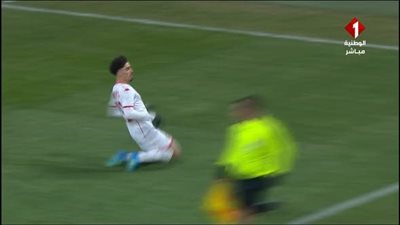 منتخب تونس.. ملخص اهداف ونتيجة مباراة منتخب تونس وهايتي الود    
