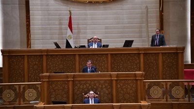 مجلس النواب    