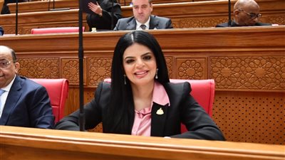 النائبة زينب بشير    